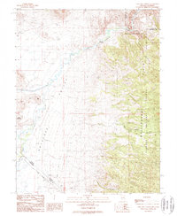 Download a high-resolution, GPS-compatible USGS topo map for Long Dry Canyon, NV (1989 edition)