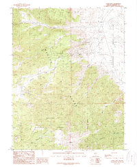 Download a high-resolution, GPS-compatible USGS topo map for Lucky Boy, NV (1989 edition)