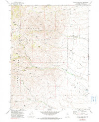 Download a high-resolution, GPS-compatible USGS topo map for Mahala Creek West, NV (1980 edition)