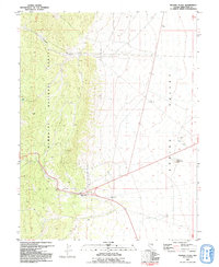Download a high-resolution, GPS-compatible USGS topo map for Majors Place, NV (1992 edition)