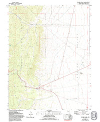 Download a high-resolution, GPS-compatible USGS topo map for Majors Place, NV (1994 edition)