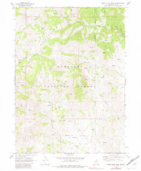 Download a high-resolution, GPS-compatible USGS topo map for Marys River Basin NE, NV (1982 edition)