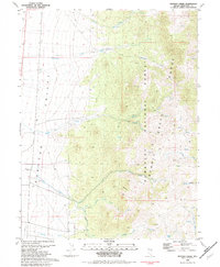 Download a high-resolution, GPS-compatible USGS topo map for Mattier Creek, NV (1982 edition)