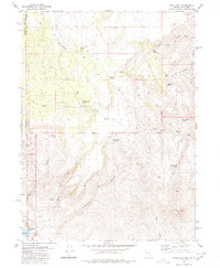 Download a high-resolution, GPS-compatible USGS topo map for Mixie Flat, NV (1980 edition)