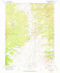 preview thumbnail of historical topo map of Nye County, NV in 1967