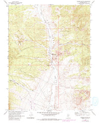 Download a high-resolution, GPS-compatible USGS topo map for Moores Station, NV (1982 edition)