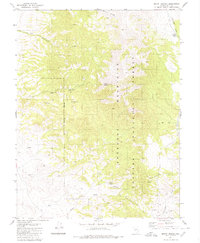 Download a high-resolution, GPS-compatible USGS topo map for Mount Ardivey, NV (1980 edition)