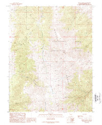 Download a high-resolution, GPS-compatible USGS topo map for Mount Grant, NV (1989 edition)