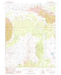 Download a high-resolution, GPS-compatible USGS topo map for Mount Hicks, NV (1989 edition)