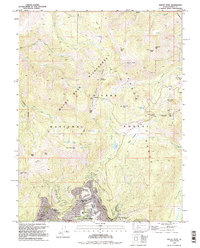 Download a high-resolution, GPS-compatible USGS topo map for Mount Rose, NV (1994 edition)