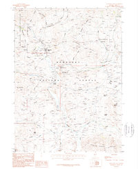 Download a high-resolution, GPS-compatible USGS topo map for Mountain City, NV (1987 edition)