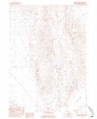Download a high-resolution, GPS-compatible USGS topo map for Mustang Spring, NV (1990 edition)