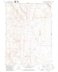Download a high-resolution, GPS-compatible USGS topo map for Nellie Spring Mtn, NV (1979 edition)