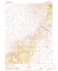 Download a high-resolution, GPS-compatible USGS topo map for New Pass, NV (1990 edition)