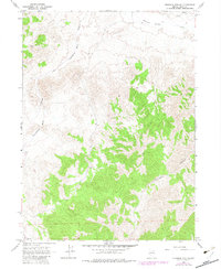 Download a high-resolution, GPS-compatible USGS topo map for Ninemile Mtn NE, NV (1982 edition)