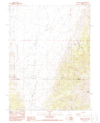 Download a high-resolution, GPS-compatible USGS topo map for Ninemile Peak, NV (1990 edition)