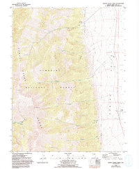 Download a high-resolution, GPS-compatible USGS topo map for North Schell Peak, NV (1994 edition)