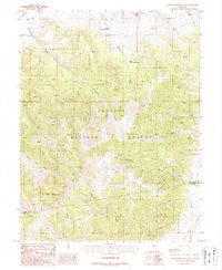 Download a high-resolution, GPS-compatible USGS topo map for North Shoshone Peak, NV (1988 edition)