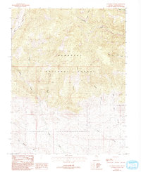 Download a high-resolution, GPS-compatible USGS topo map for Old Mans Canyon, NV (1993 edition)