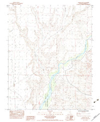Download a high-resolution, GPS-compatible USGS topo map for Overton NE, NV (1983 edition)