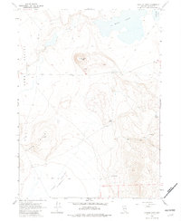 Download a high-resolution, GPS-compatible USGS topo map for Painted Point, NV (1982 edition)