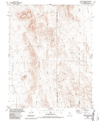 Download a high-resolution, GPS-compatible USGS topo map for Paiute Ridge, NV (1987 edition)