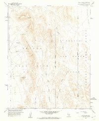 Download a high-resolution, GPS-compatible USGS topo map for Paiute Ridge, NV (1962 edition)