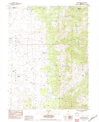 Download a high-resolution, GPS-compatible USGS topo map for Paris Creek, NV (1984 edition)