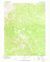 Download a high-resolution, GPS-compatible USGS topo map for Parsnip Peak, NV (1973 edition)
