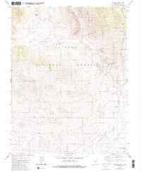 Download a high-resolution, GPS-compatible USGS topo map for Peavine Ranch, NV (1980 edition)
