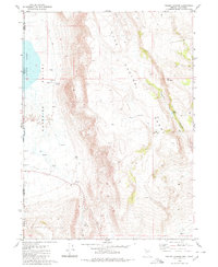 Download a high-resolution, GPS-compatible USGS topo map for Pegleg Canyon, NV (1980 edition)