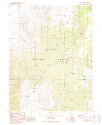 Download a high-resolution, GPS-compatible USGS topo map for Petes Summit, NV (1990 edition)