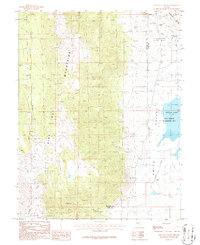 Download a high-resolution, GPS-compatible USGS topo map for Pine Nut Valley, NV (1987 edition)