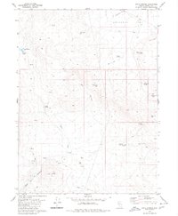 Download a high-resolution, GPS-compatible USGS topo map for Pinto Springs, NV (1980 edition)