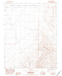 Download a high-resolution, GPS-compatible USGS topo map for Piute Point, NV (1984 edition)
