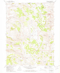 preview thumbnail of historical topo map of Washoe County, NV in 1981