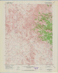 Download a high-resolution, GPS-compatible USGS topo map for Quartz Mtn NW, NV (1972 edition)