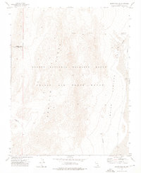 Download a high-resolution, GPS-compatible USGS topo map for Quartz Peak SW, NV (1976 edition)