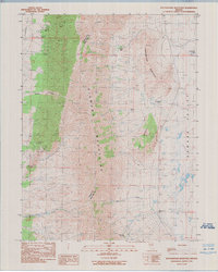 Download a high-resolution, GPS-compatible USGS topo map for Rattlesnake Mountain, NV (1990 edition)