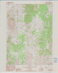 Download a high-resolution, GPS-compatible USGS topo map for Red Butte, NV (1990 edition)