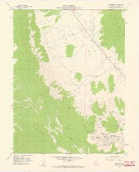 Download a high-resolution, GPS-compatible USGS topo map for Reipetown, NV (1961 edition)