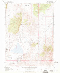 Download a high-resolution, GPS-compatible USGS topo map for Reno NE, NV (1970 edition)