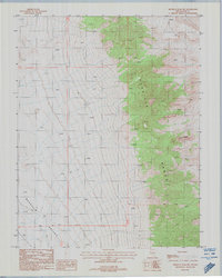 Download a high-resolution, GPS-compatible USGS topo map for Reveille Peak NW, NV (1988 edition)