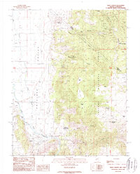 Download a high-resolution, GPS-compatible USGS topo map for Risue Canyon, NV (1989 edition)