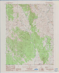 Download a high-resolution, GPS-compatible USGS topo map for Roberts Creek Mtn, NV (1986 edition)