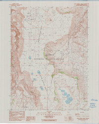 Download a high-resolution, GPS-compatible USGS topo map for Rock Spring Table, NV (1990 edition)
