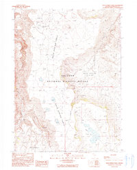 Download a high-resolution, GPS-compatible USGS topo map for Rock Springs Table, NV (1990 edition)