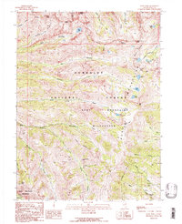 Download a high-resolution, GPS-compatible USGS topo map for Ruby Dome, NV (1991 edition)