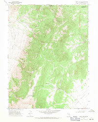 Download a high-resolution, GPS-compatible USGS topo map for Ruby Lake SE, NV (1971 edition)