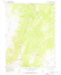 Download a high-resolution, GPS-compatible USGS topo map for Ruby Lake SE, NV (1976 edition)